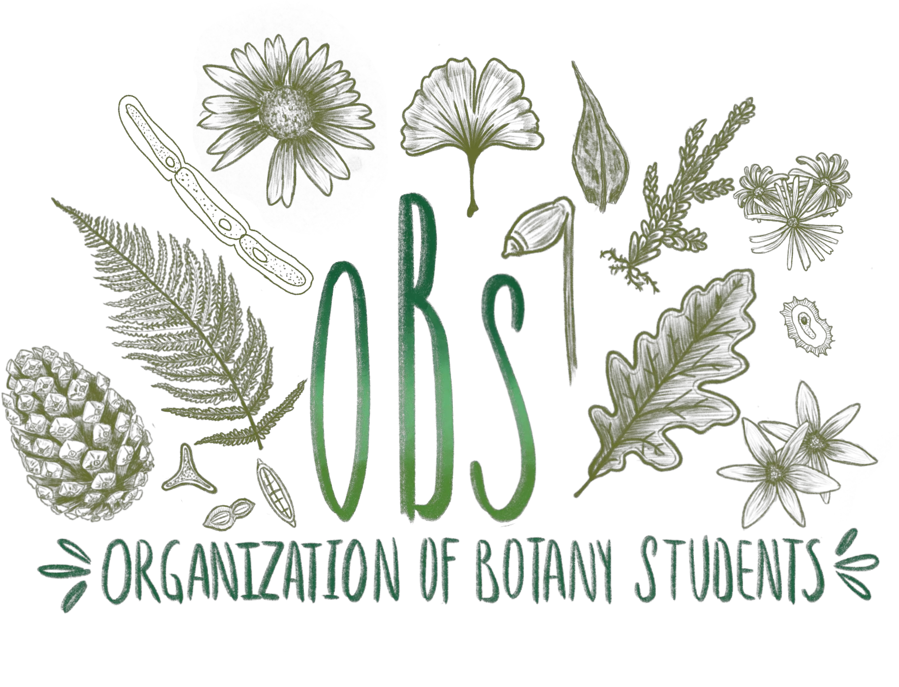 Interdepartmental Science Students Society Drawing Png Obs Logo Png