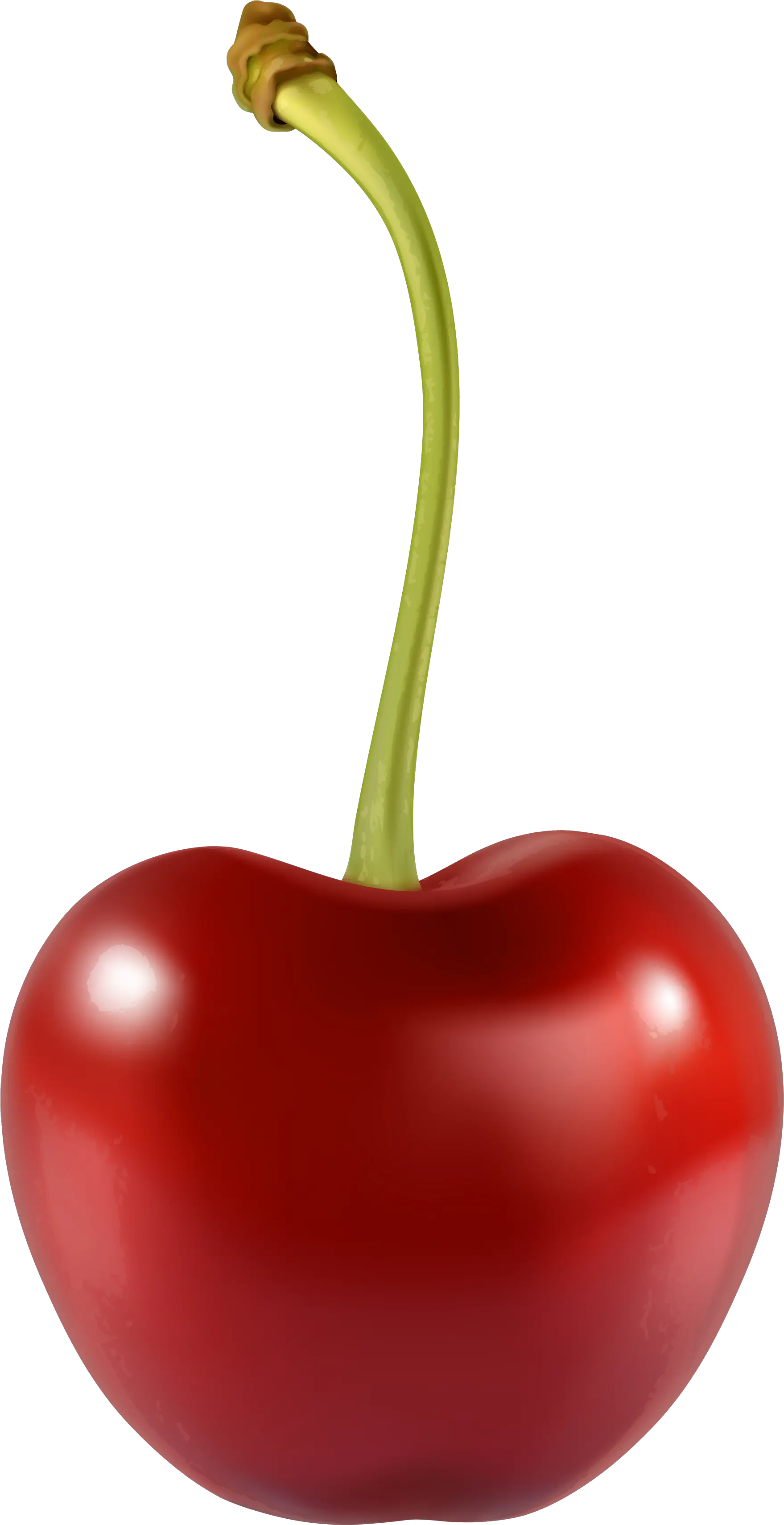 Cherry Transparent Png Clipart Free 1 Cherry Clipart Cherries Png