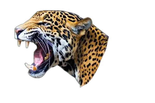 Face Open Mouth Png Transparent Image Jaguar Png Mouth Png