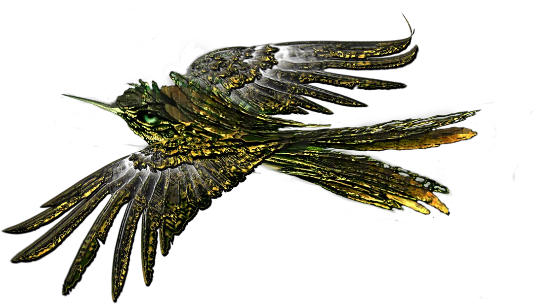 Bird Flying Transparent Bird Png Bird Transparent png