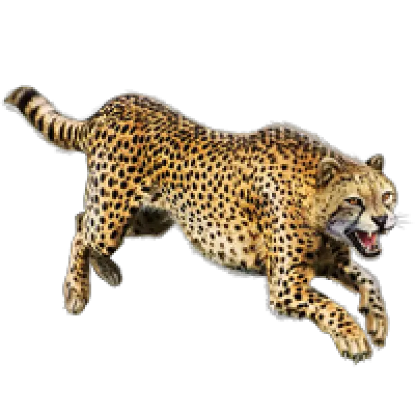 Free Png Images Cheetah Png Cheetah Png