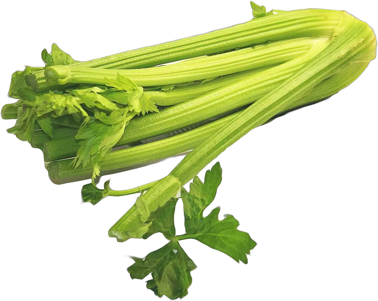 Celery Png Image For Free Download Celery Png Celery Png
