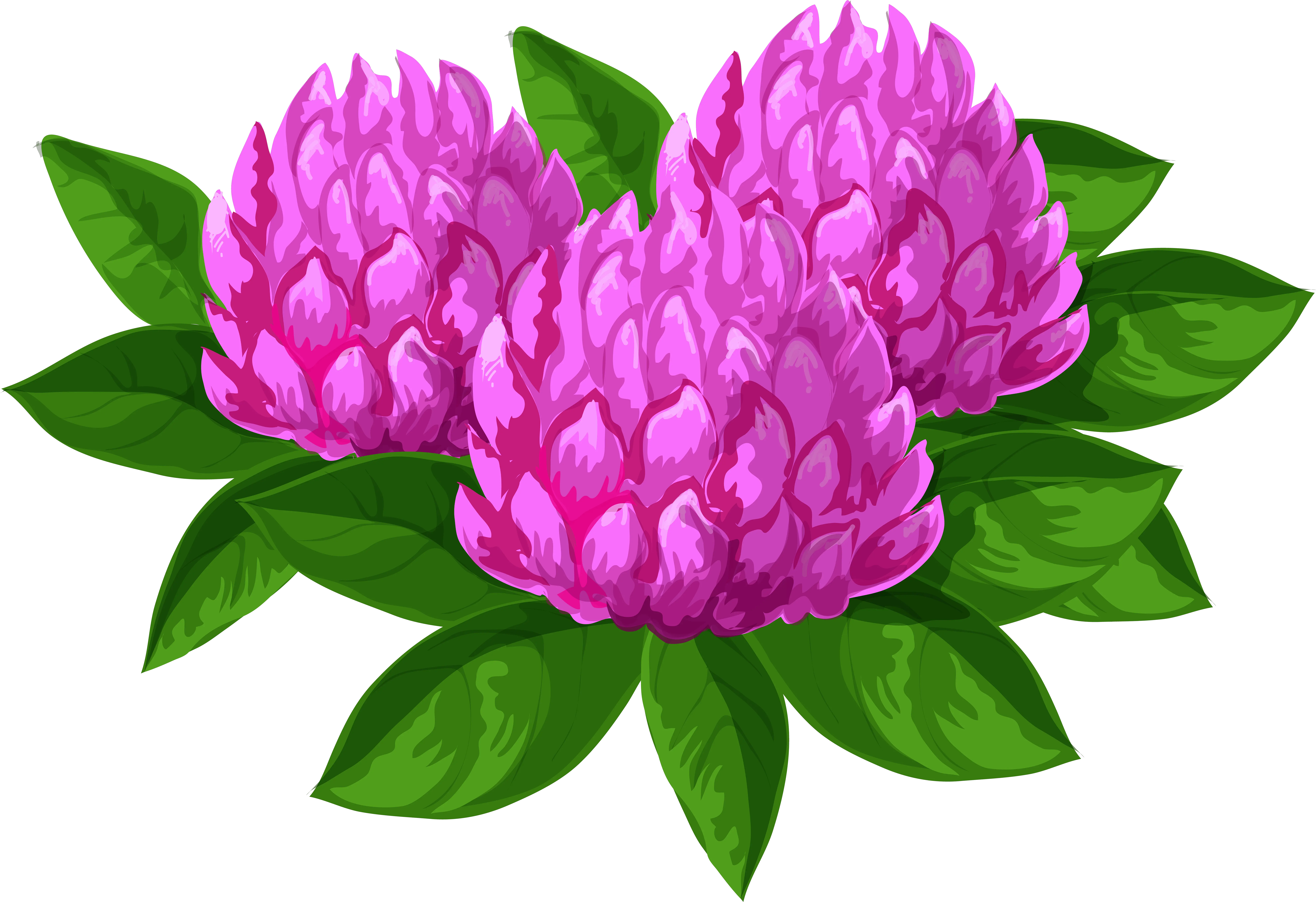 Wild Flowers Png Clip Art Imageu200b Clip Art Peony Transparent