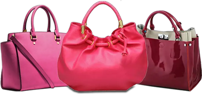 Ladies Purse Ladies With Purse Hd Png Purse Png