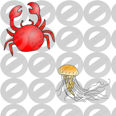 Crab And Jellyfish Picture For Classroom Therapy Use Freshwater Crab Png Jellyfish Icon