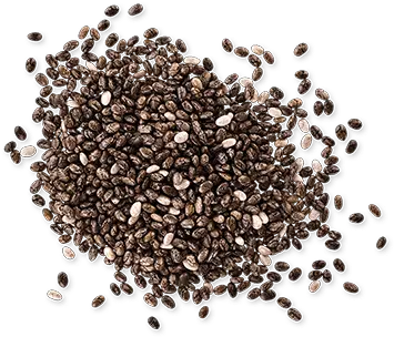 Download Chia Seeds Png Peppercorn Png Seed Png