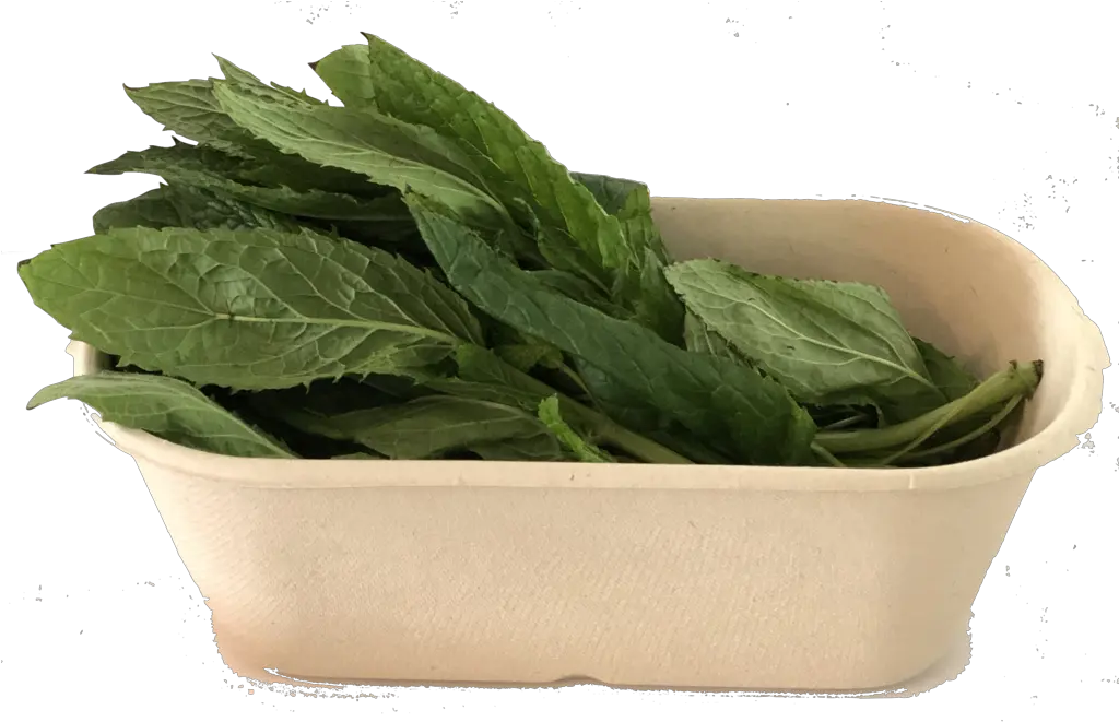 Organic Fresh Mint 50g Spinach Png Mint Png