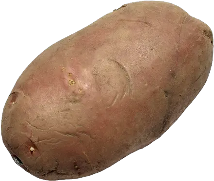 Potato Png Images Potato With No Background Potato Png