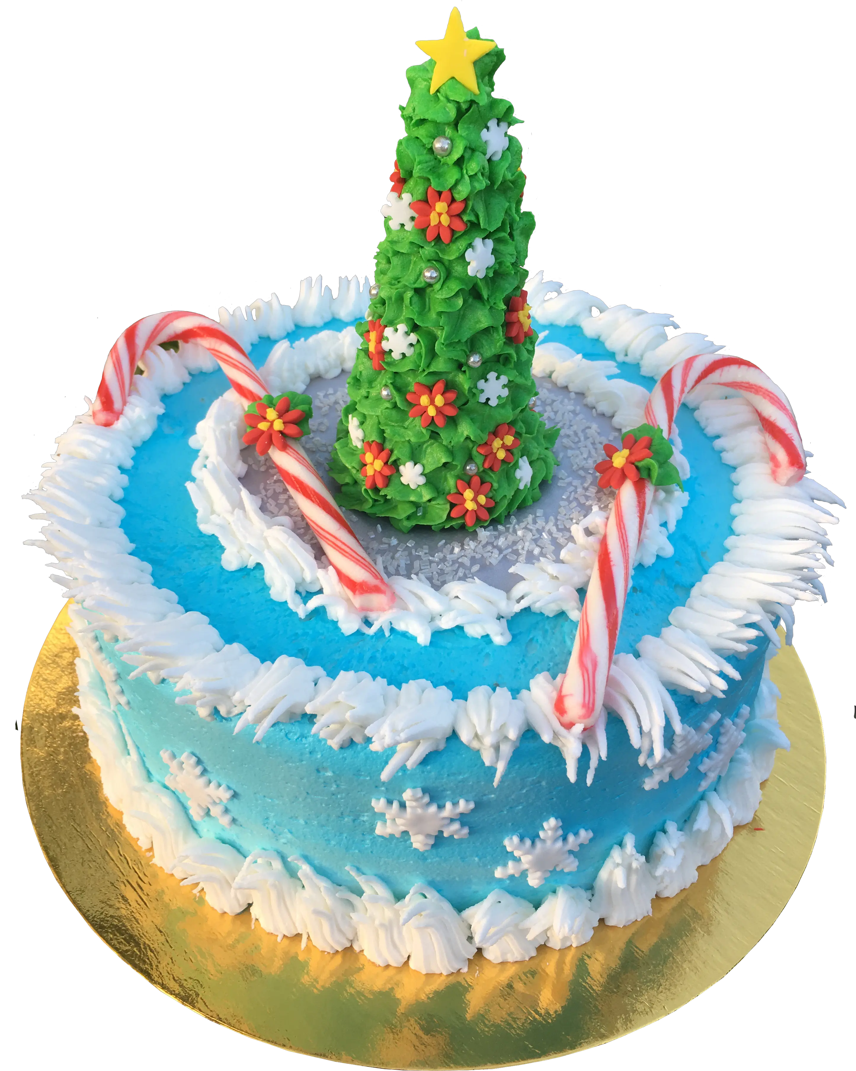 Download Birthday Cake Png Birthday Cake Birthday Cake Birthday Cake Png Transparent png