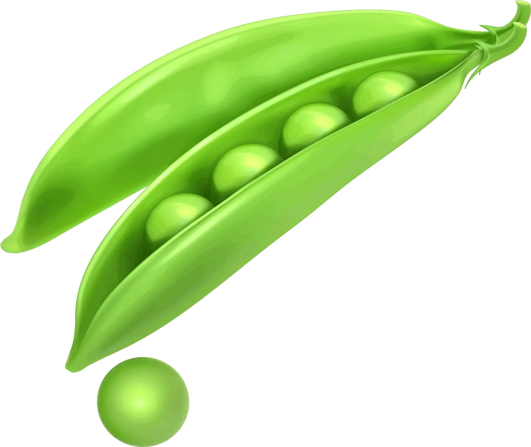 Peas Png Image Free Download Searchpng Peas In A Pod Drawing Peas Png