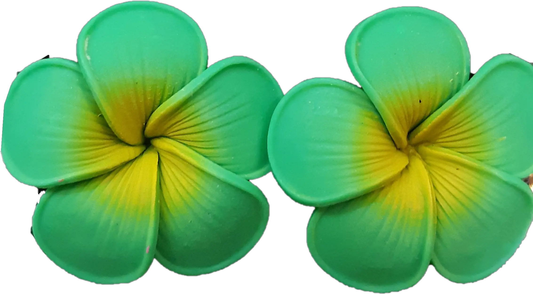 Jb Small Green Plumeria Earrings Frangipani Png Plumeria Flower Png