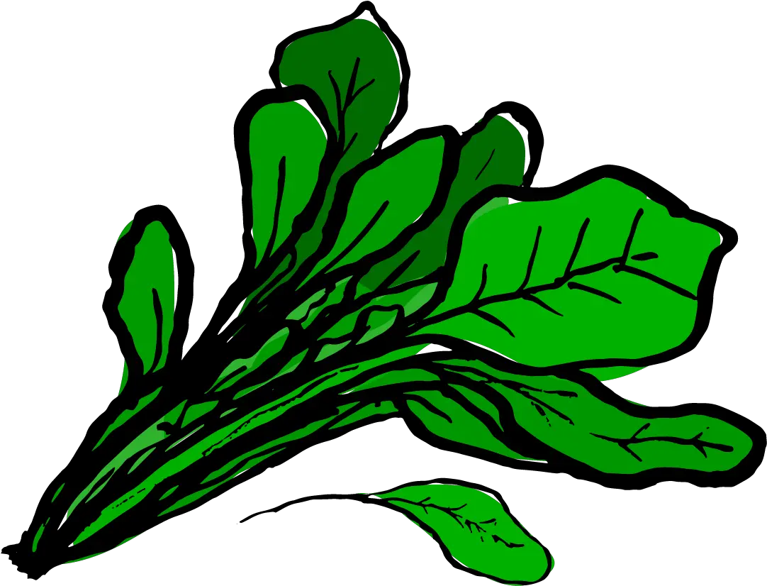 Clip Art Spinach Png Spinach Clipart Png Spinach Png