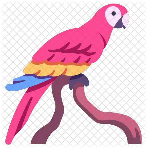 Macaws Icon Pet Birds Png Macaw Png