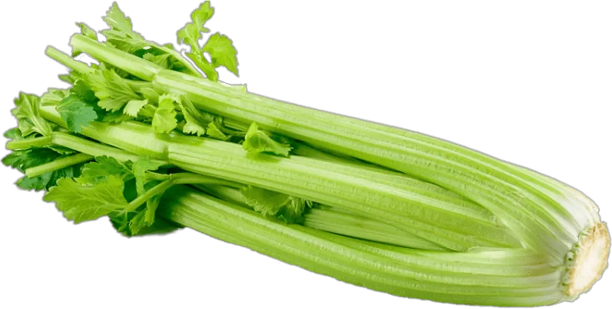 Celery Transparent Png Celery Transparent Png Celery Png