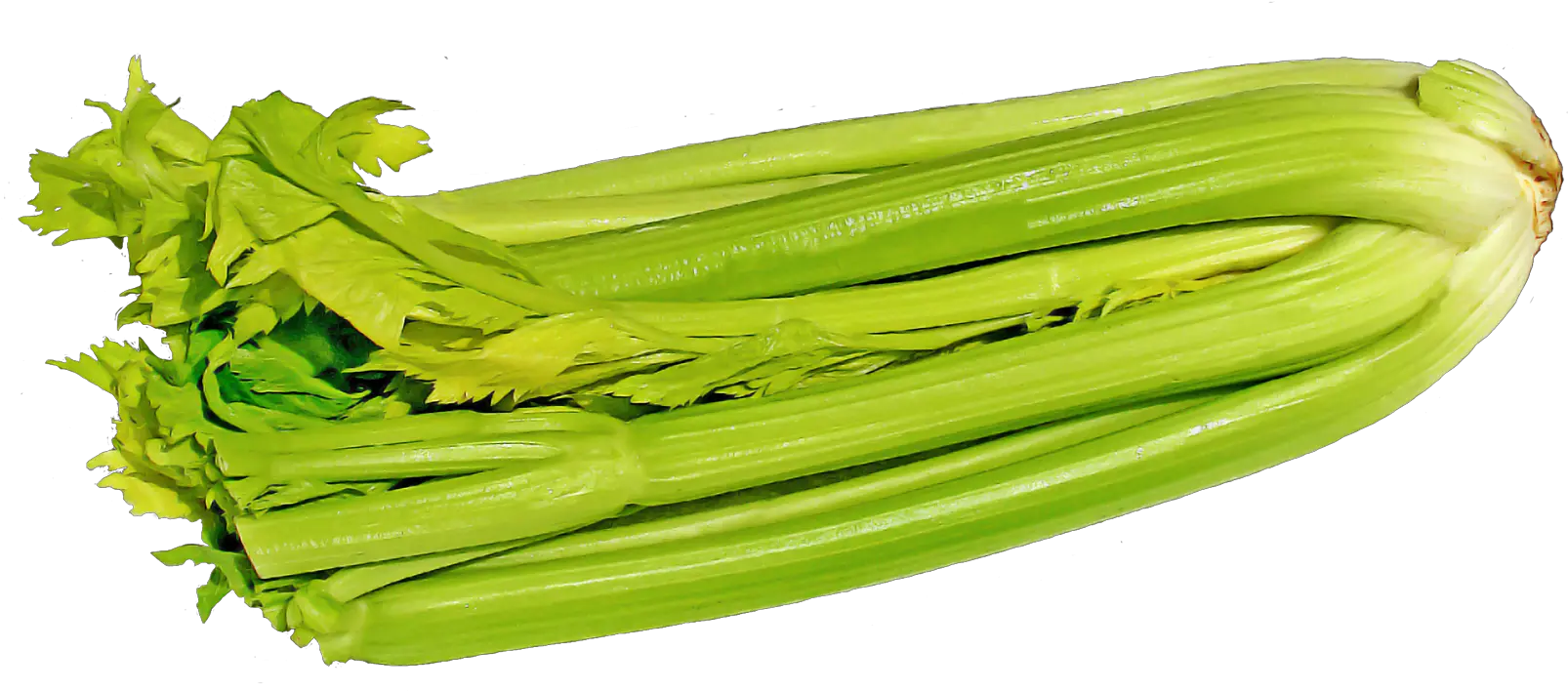 Green Celery Png Image Celery With Transparent Background Celery Png