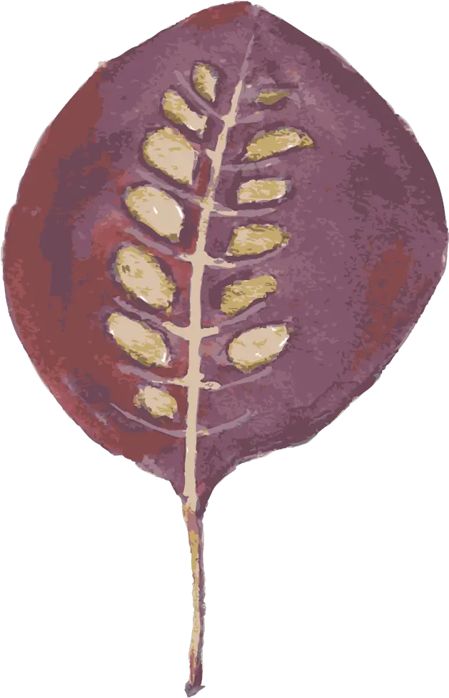 Download Creative Leaf Cartoon Transparent Material Leaf Fern Png Leaf Cartoon Png png