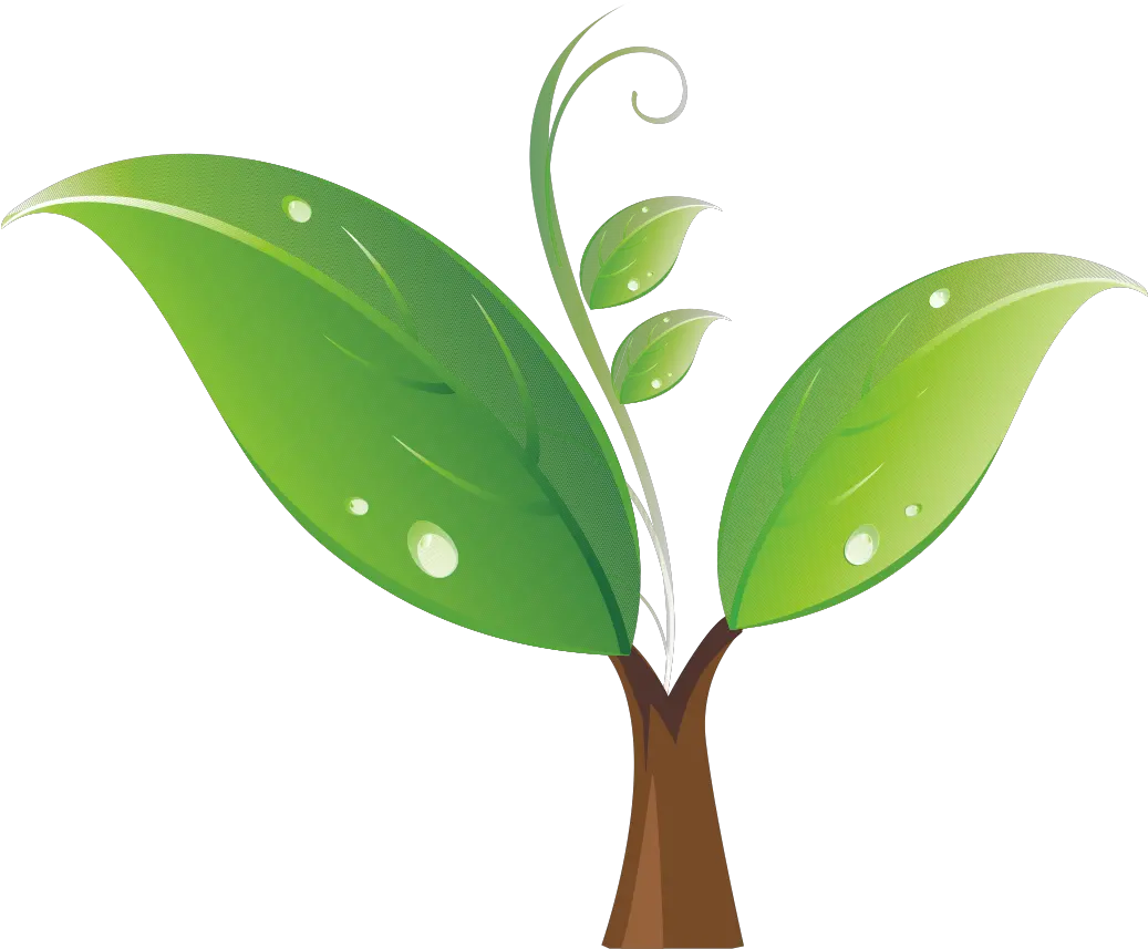 Seedling Tree Clip Art Sapling Clipart Png Sprout Png