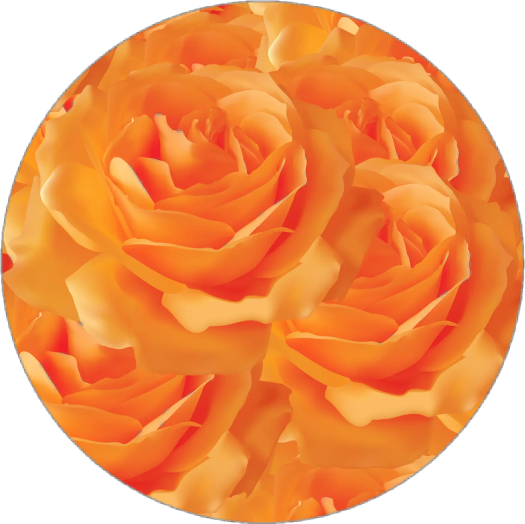 Circle Aesthetic Flowers Png Aesthetic Orange Flowers Png Roses Transparent Background