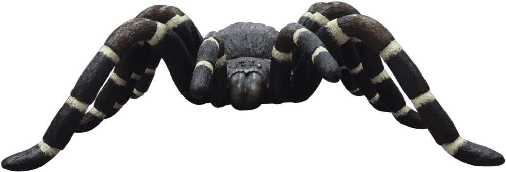 Insect Spider Tarantula Over Sized Bug Prop Resin Decor Statue Insect Png Tarantula Png