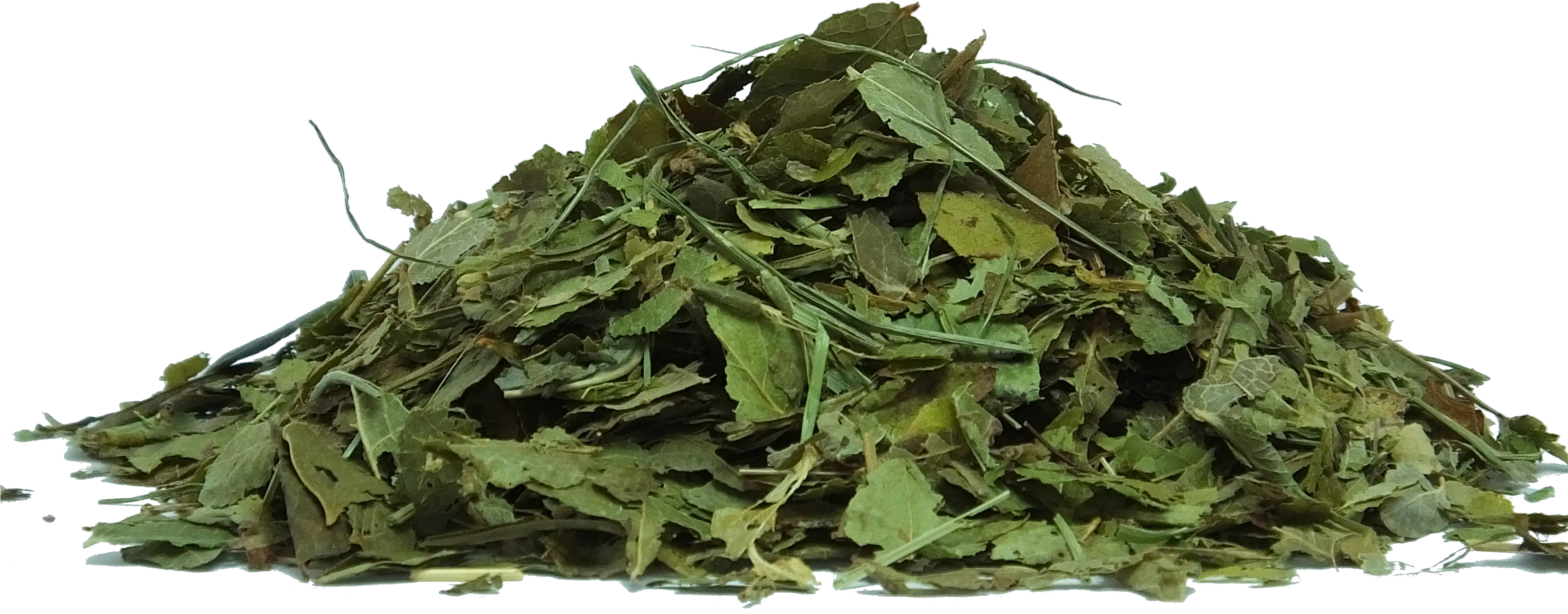 Herbs To Use Indian Ginseng Withania Somnifera Transparent Png Herbs Png
