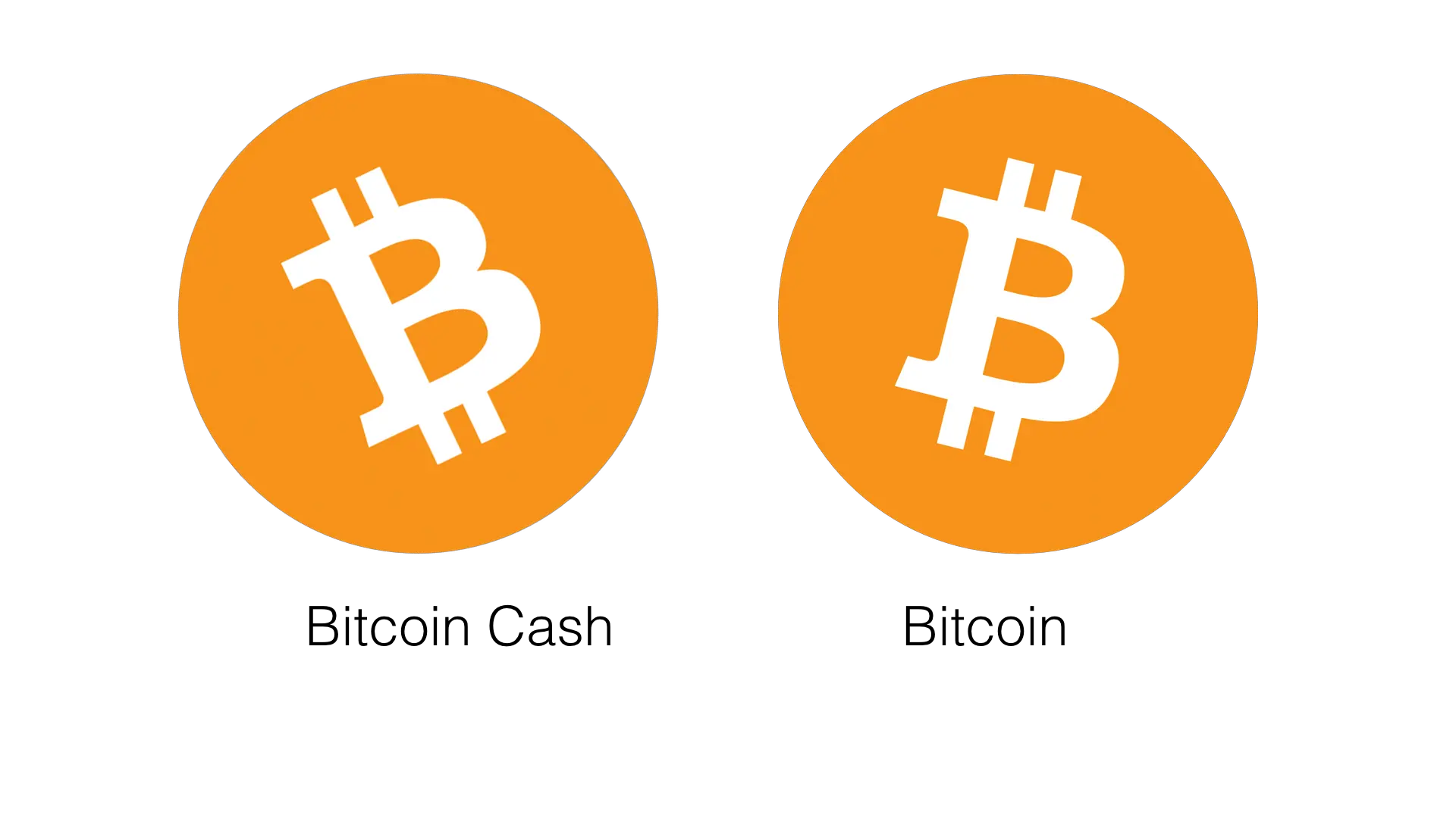 Coin Ninja News Bitcoin Cash Icon Png Bit Coin Logo