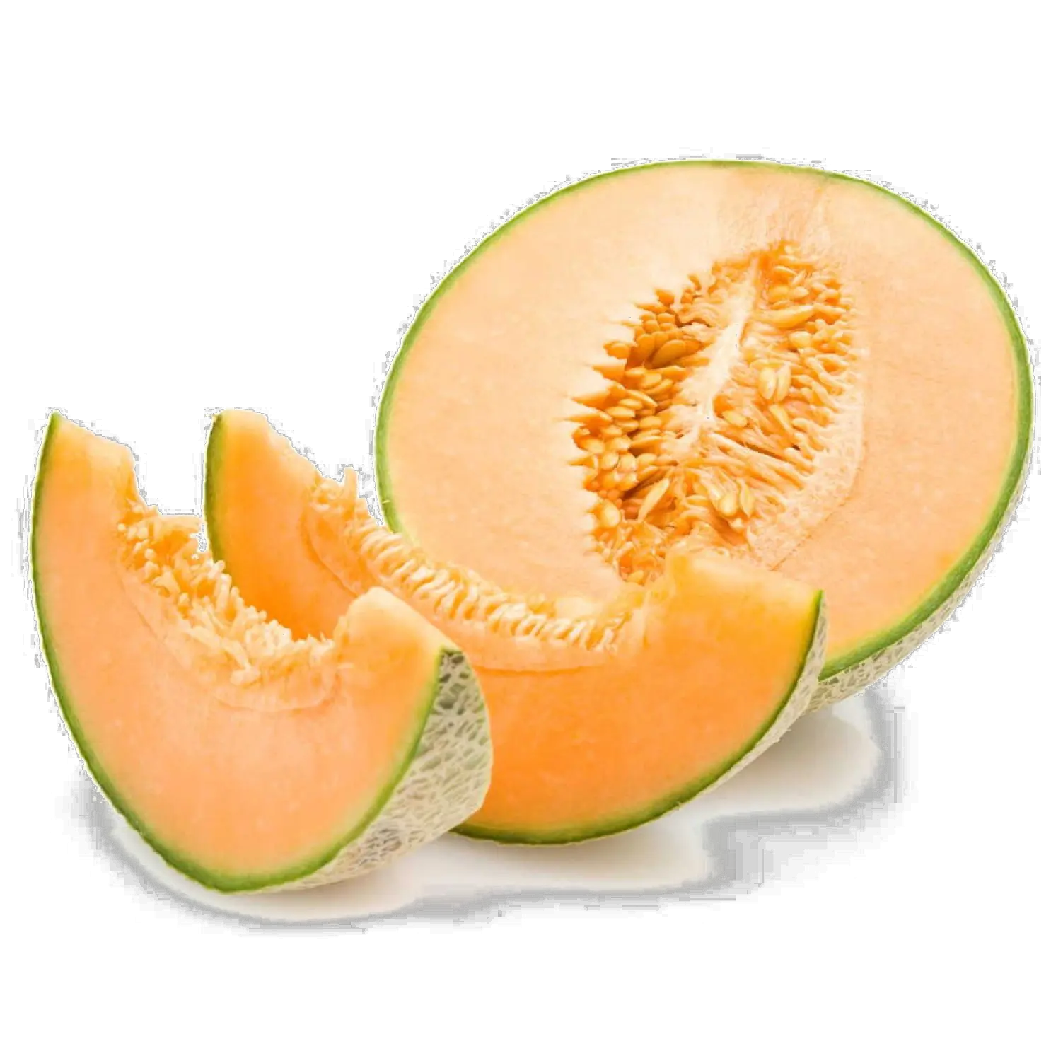 Melon Png Cantaloupe Clipart Melon Png