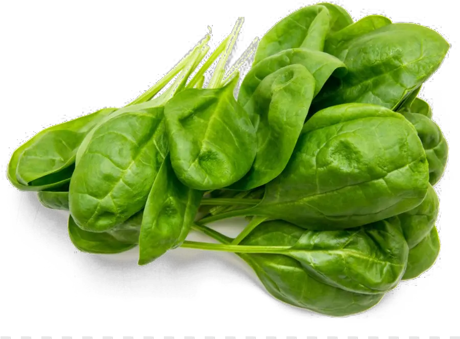 Spinach Png Free Image 30 Grams Of Spinach Spinach Png