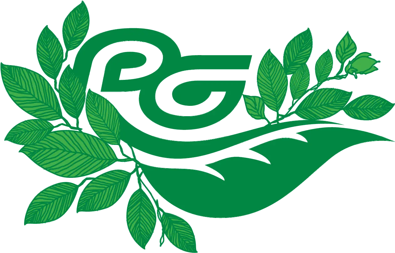 Eco Logo The Prolific Groupthe Prolific Group Language Png Eco Logo