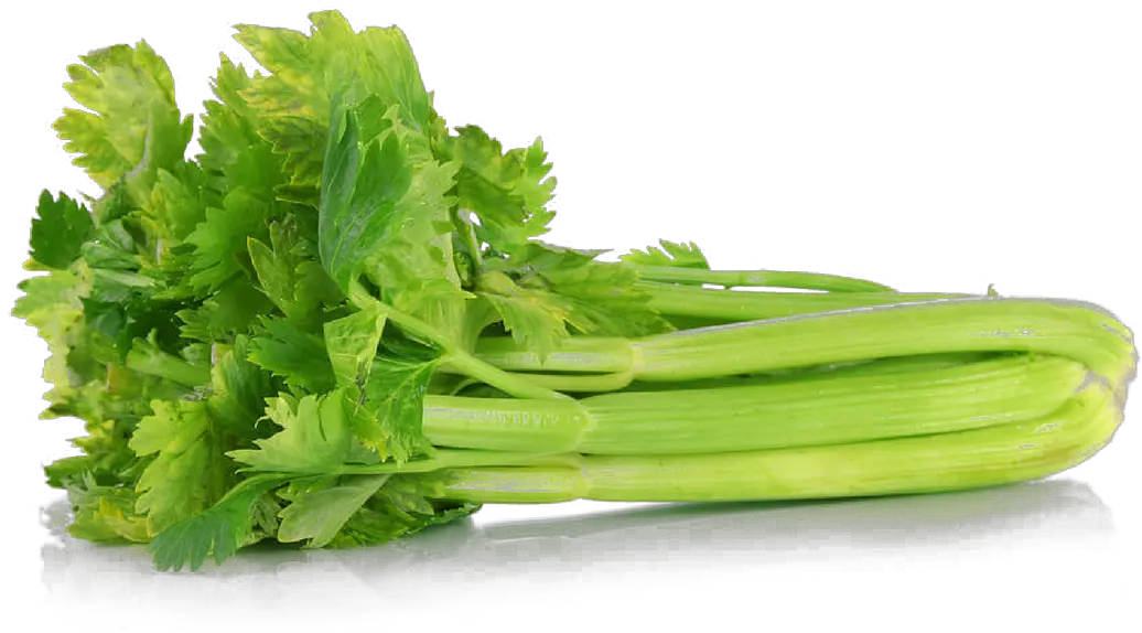 Download Celery Png File Transparent Background Celery Png Celery Png