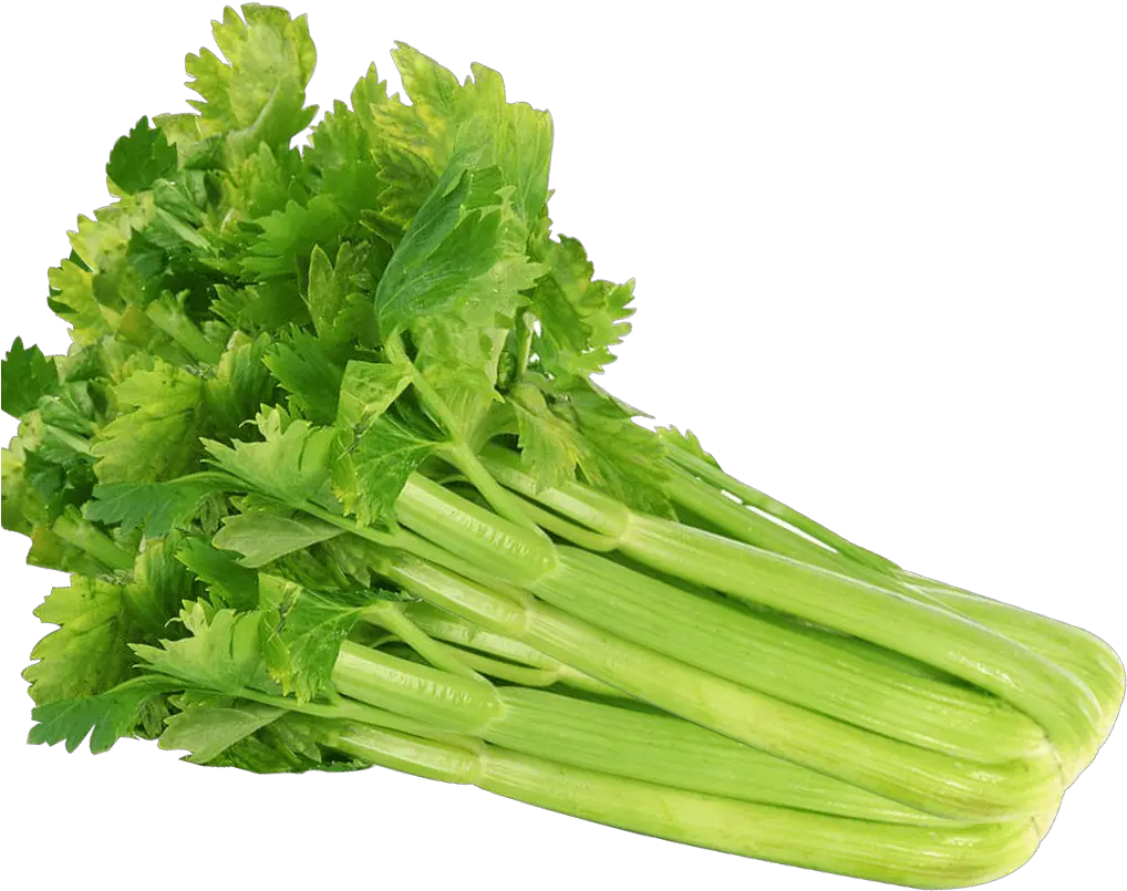 Celery Seeds 100 Vegetable Transparent Background Celery Png Celery Png