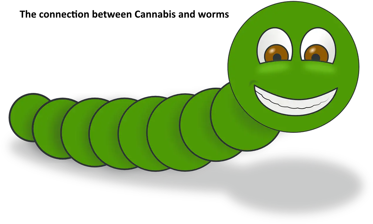 Connection Between Cannabis Worm Clip Art Png Worms Png