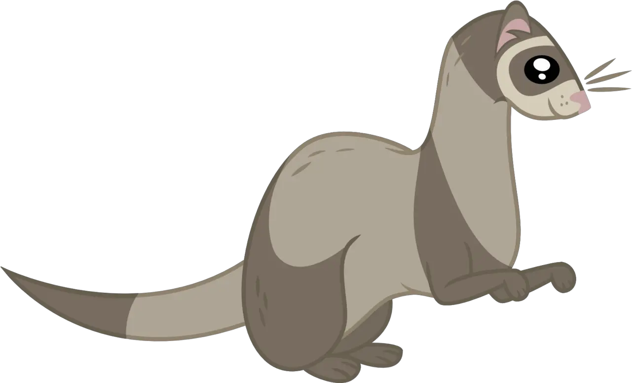 Ferret Vector Animal Transparent Png Ferret Ferret Png