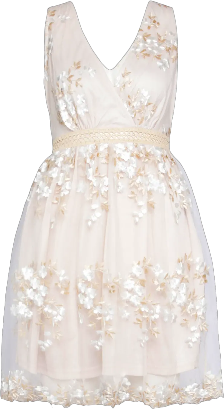 Womenu0027s Boohoo Occasion Floral Embroidery Wrap Skater Dress Sleeveless Png Cream Icon Dress