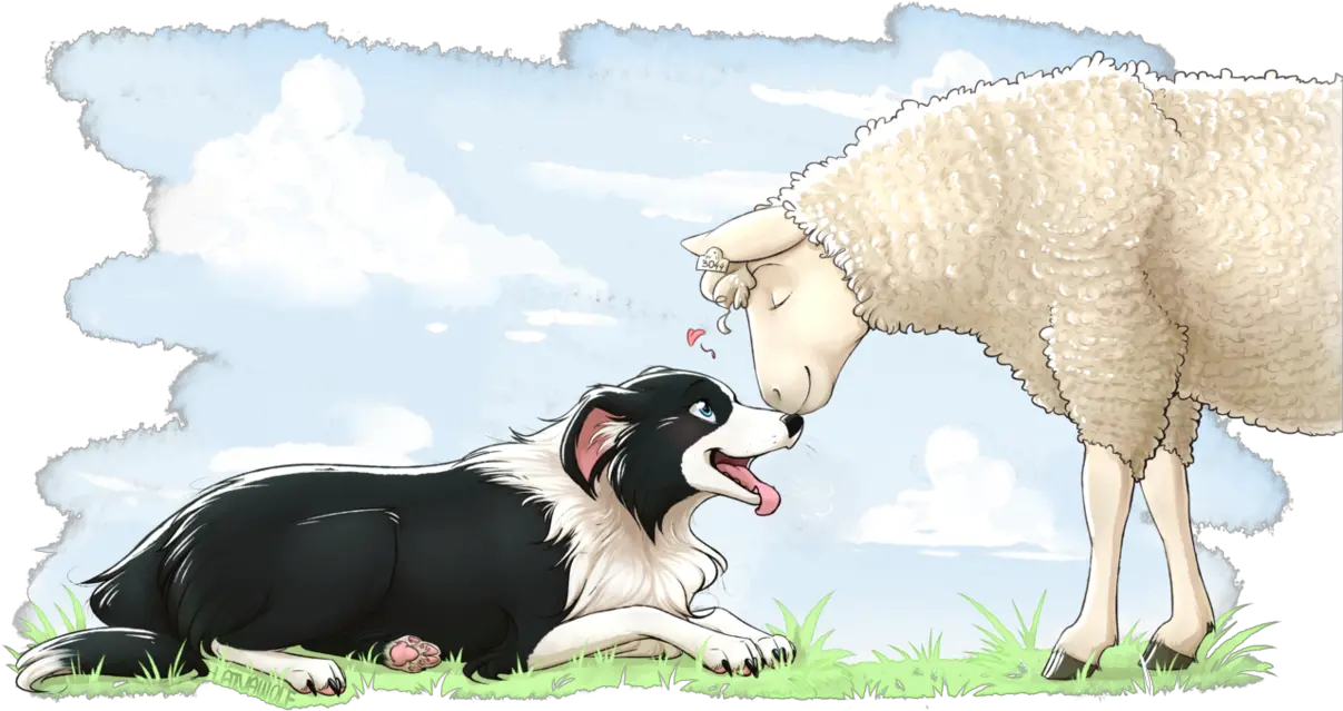 Face Clipart Border Collie Picture Border Collie Art Png Border Collie Png png