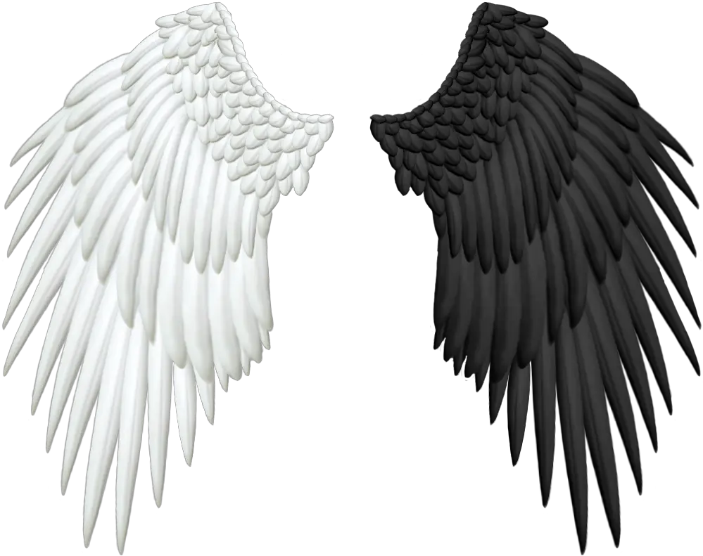 Half Wings Png Transparent Black And White Angel Wings Wing Png
