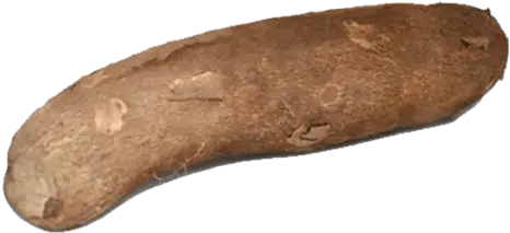 Yam Yam Png Yam Png