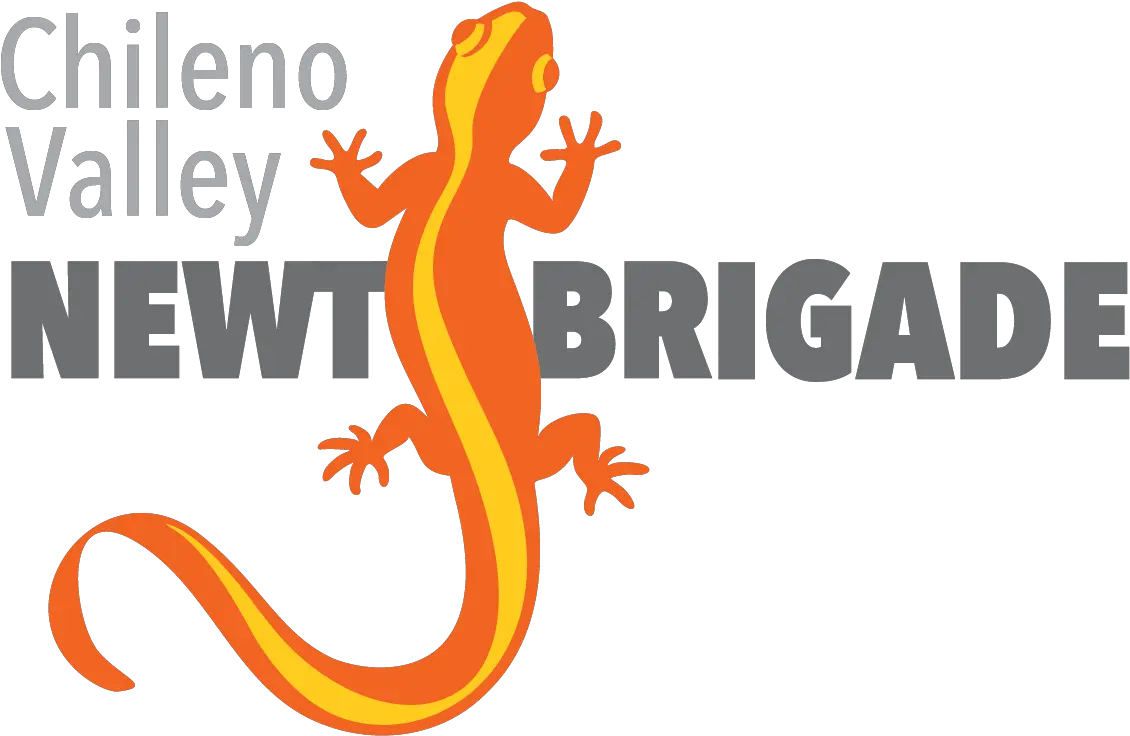 Chileno Valley Newt Brigade Language Png Salamander Icon