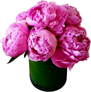 Vase Peony Clipart Hd Bouquets Peony Flower Birthday Png Peony Transparent