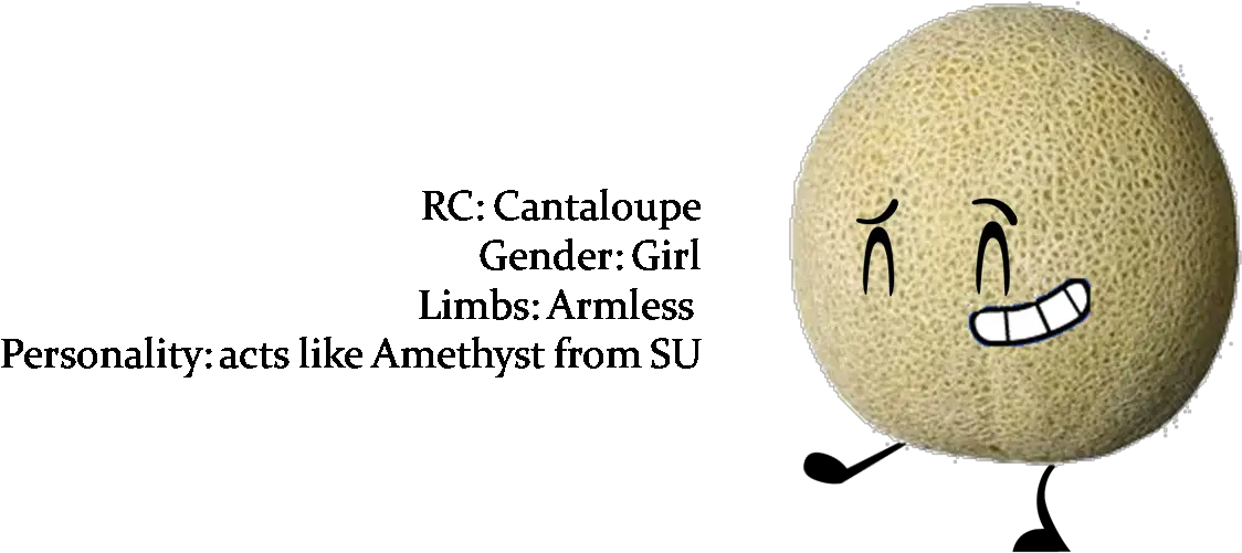 Download Cantaloupe Png Image With No Background Pngkeycom Smiley Cantaloupe Png