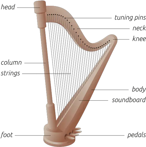 Whatu0027s The Difference Between A Harp Lyre Lute And Harp Diagram Png Lute Png