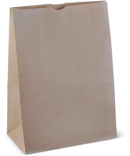 Download Free Png Brown Paper Bag Construction Paper Paper Bag Png