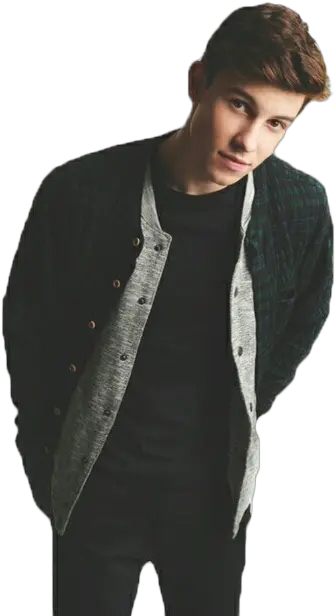 Shawn Mendes Png Transparent Images Shawn Mendes Shawn Mendes Png