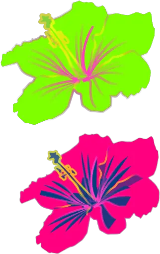 Hibiscus Flower Svg Free Hibiscus Flower Clipart Yellow Png Hawaii Flower Icon