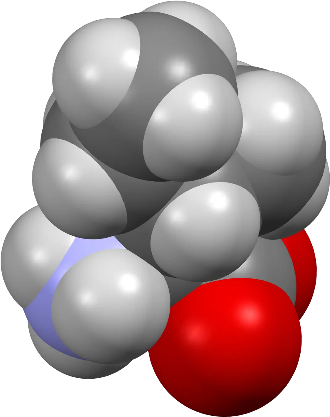 Fileisoleucine Fromxtal3dsfpng Wikipedia Isoleucine Space Filling Sf Icon