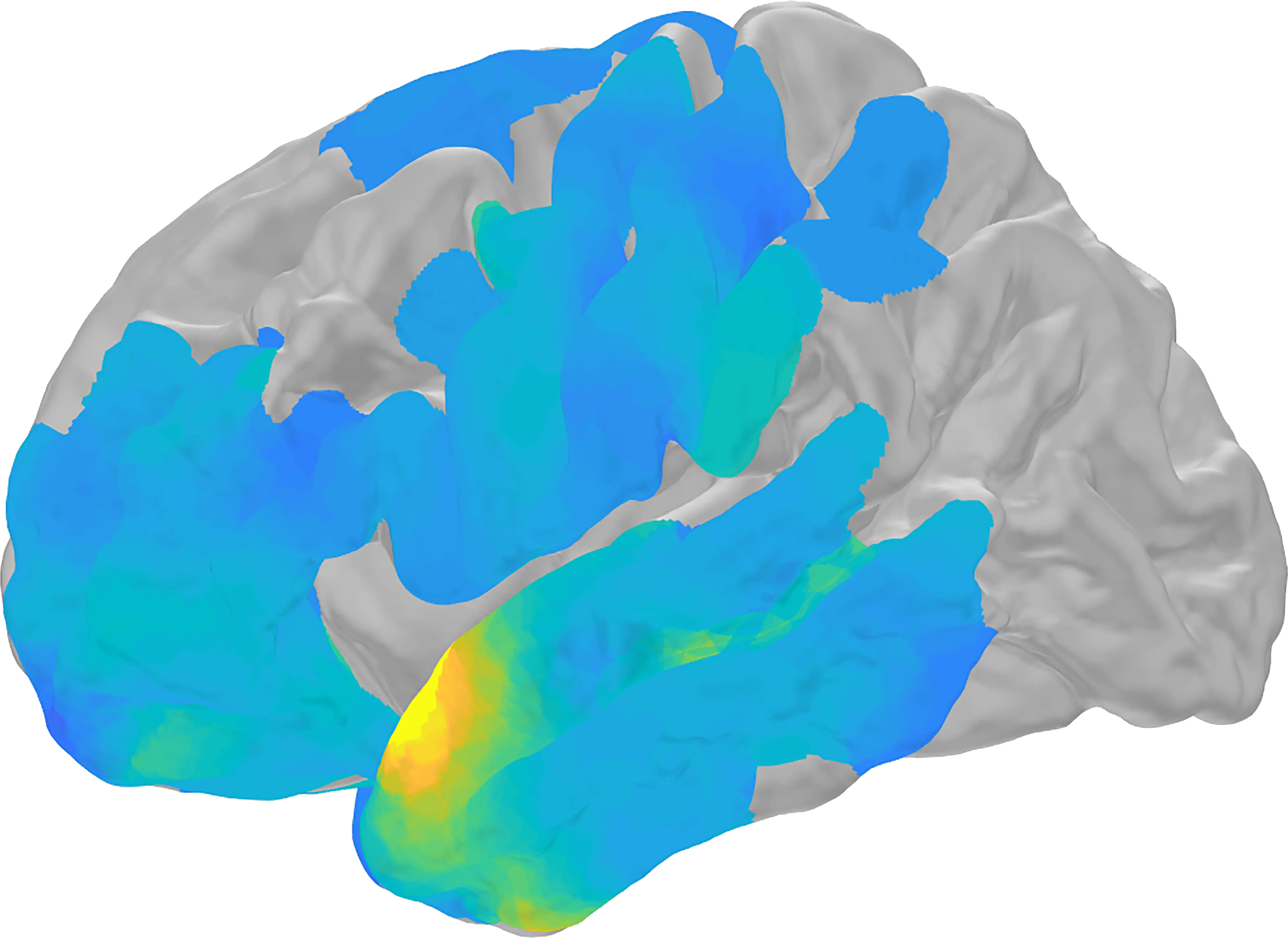 Our Brains May Ripple Before Remembering Neural Oscillation Png Ripples Png