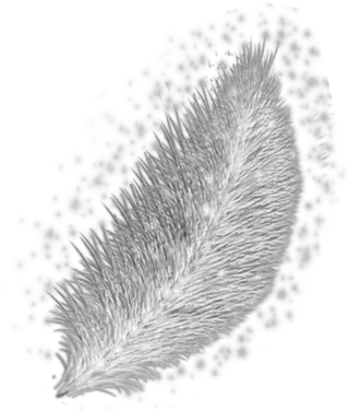 Silver Feather Opengameartorg Sketch Png Feather Png