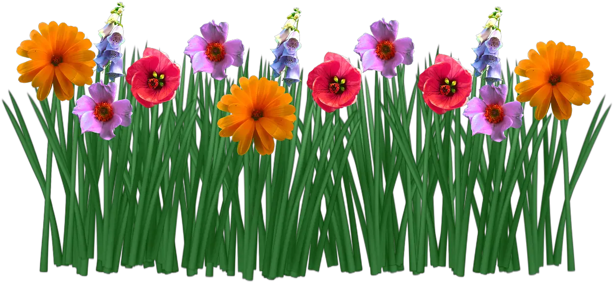 Spring Flowers Grass Meadow Png Picpng Flowers In Grass Drawing Meadow Png