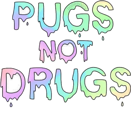 Pugs Not Drugs Uploaded By Vic Drugs Png Overlay Drugs Png