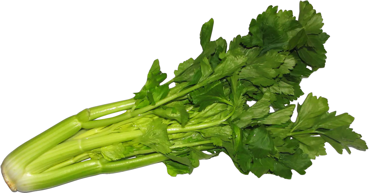 Celery Png Image For Free Download