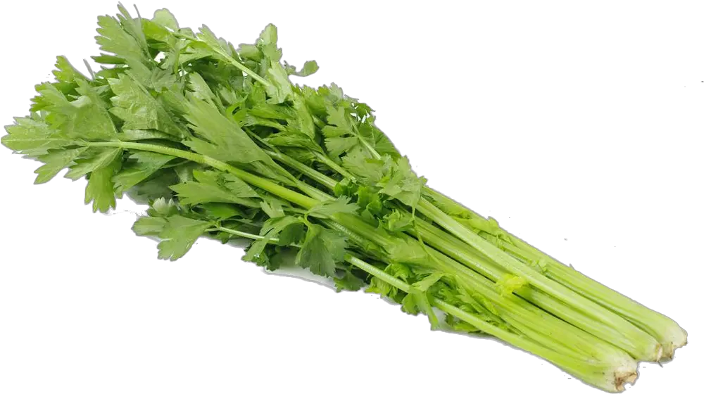 Download Celery Transparent Green Full Size Png Celery Png Transparent Celery Png